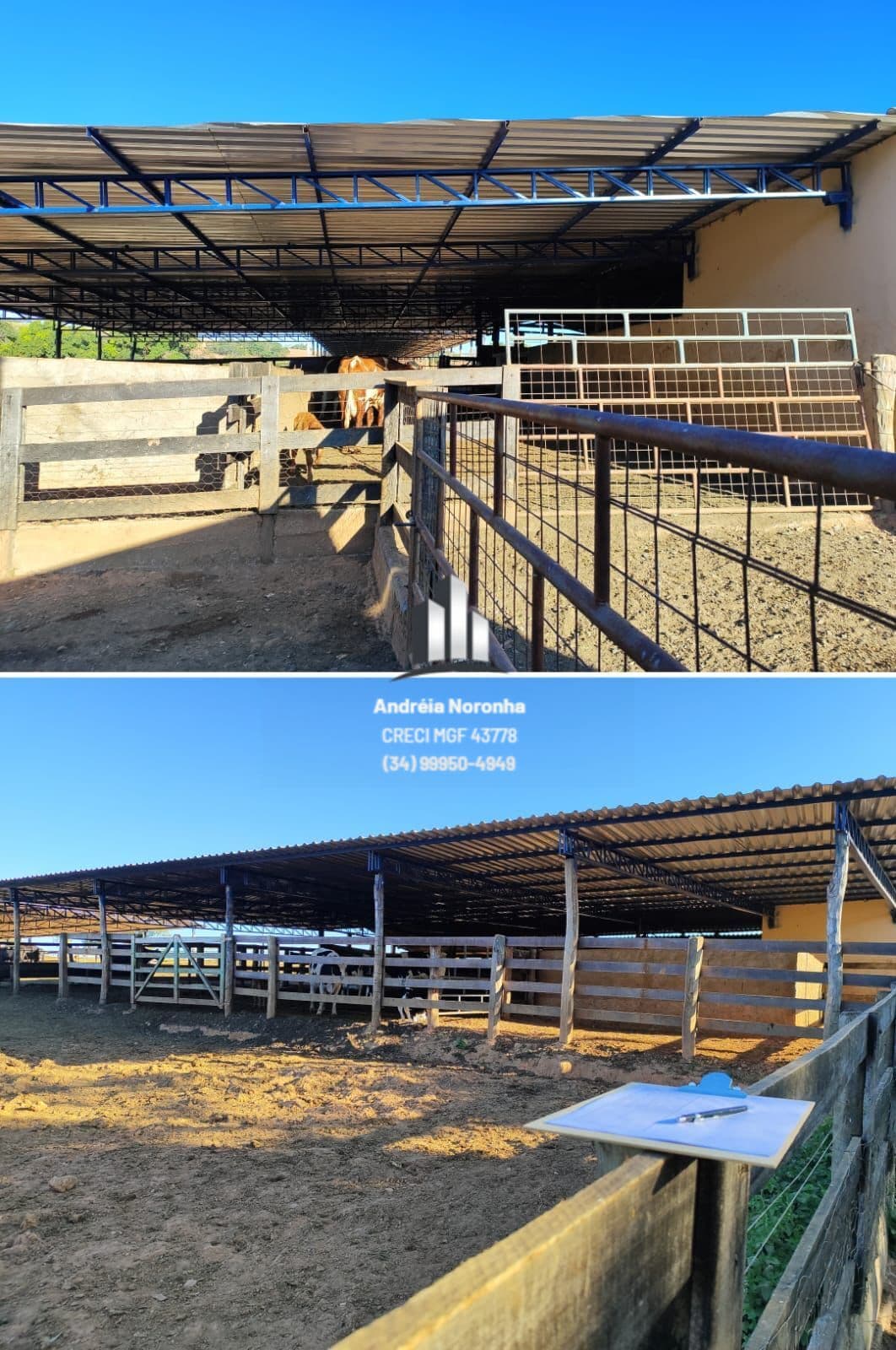 Fazenda 14,6 ha com estrutura completa para leite/confinamento