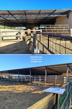 Fazenda 14,6 ha com estrutura completa para leite/confinamento
