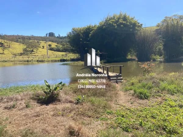 Fazenda 43 hectares as margens da BR 365