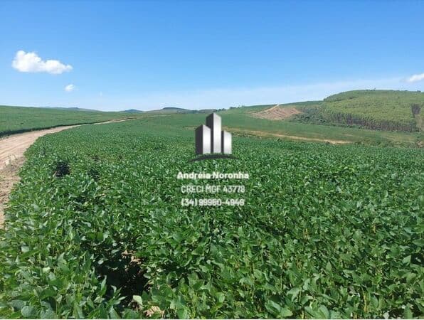 Fazenda 477,88 Hectares
