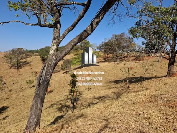 FAZENDA NA BEIRA DO ASFALTO SENTIDO CAMPO ALEGRE / LAGOA FORMOSA