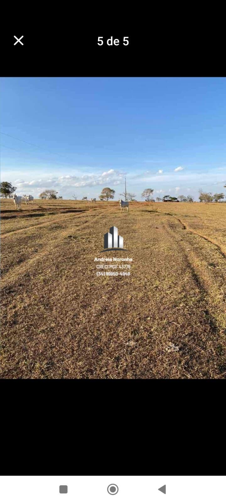 🌽🌴 FAZENDA 191 HECTARES NO MUNICÍPIO DE VARJÃO DE MINAS 🌽🌴