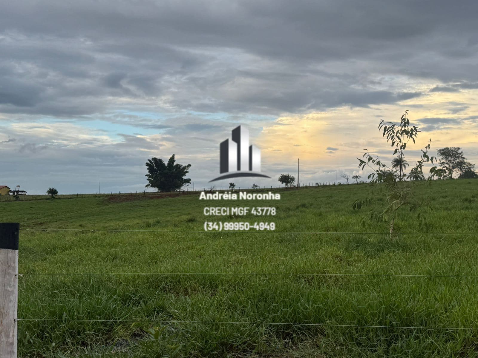 🌳🌴 LINDO SÍTIO A VENDA EM QUINTINOS/MG 🌳🌴