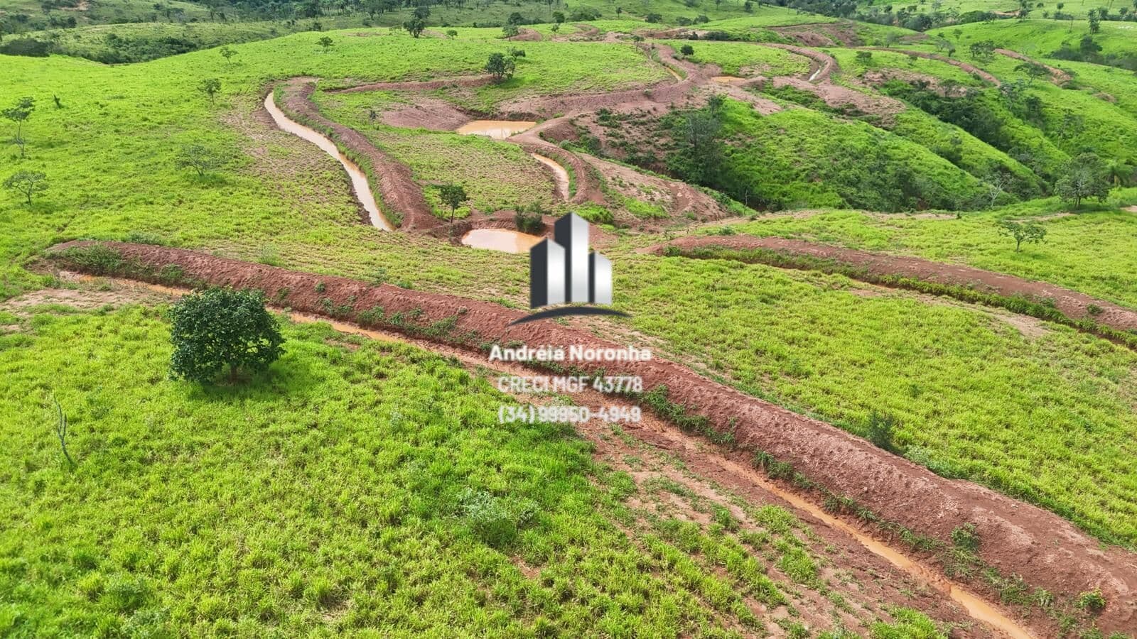🌴🌳 FAZENDA DE 100 HECTARES NA SERRA DA QUINA 🌴🌳
