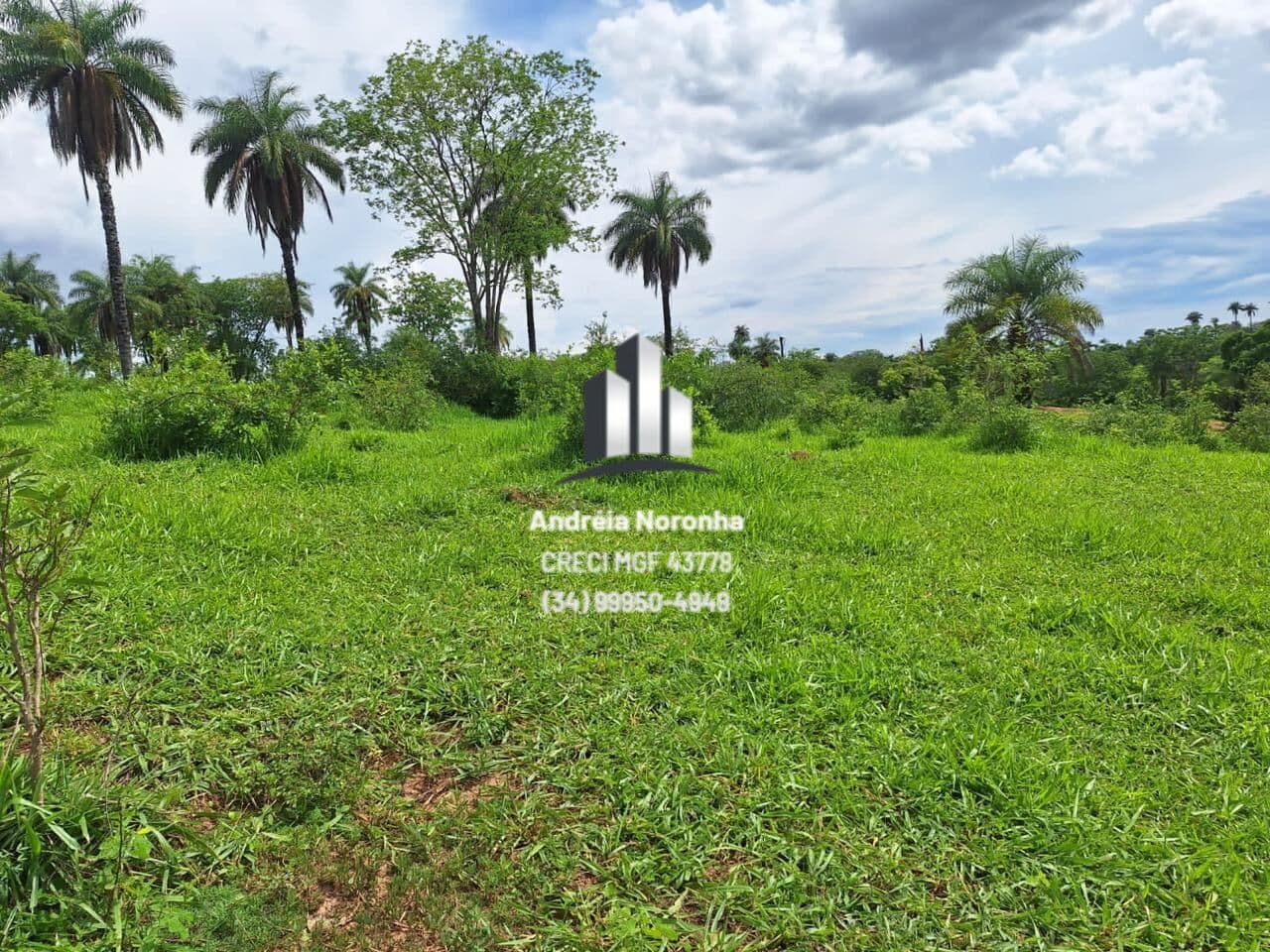 🌴🌳 FAZENDA 765 HECTARES EM SÃO GONÇALO DO ABAETÉ 🌴🌳