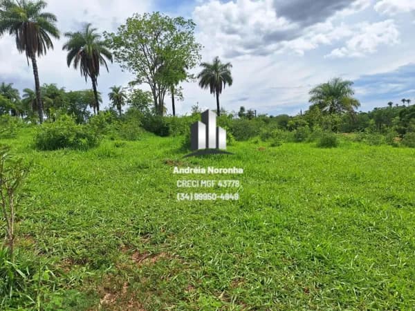 🌴🌳 FAZENDA 765 HECTARES EM SÃO GONÇALO DO ABAETÉ 🌴🌳