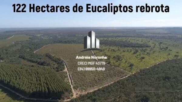 Fazenda 1280 Hectares em João Pinheiro/MG