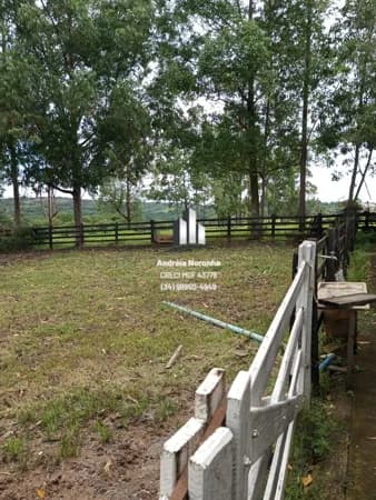 Fazenda 50 Hectares em São Gonçalo do Abaeté/MG