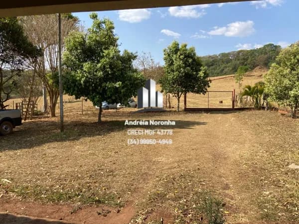 Sítio 21 Hectares em Presidente Olegário/MG