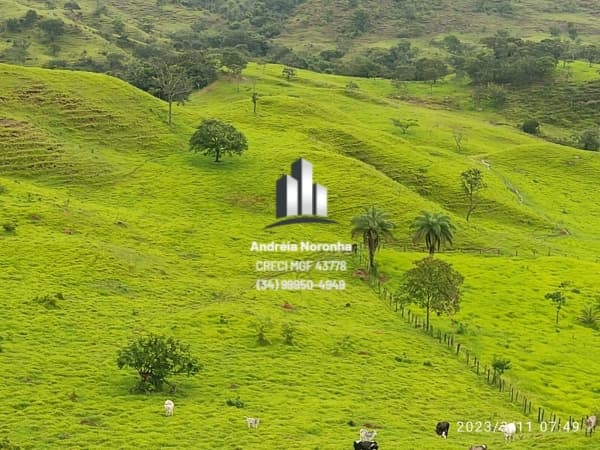 Fazenda 33 Hectares próxima à Patos de Minas
