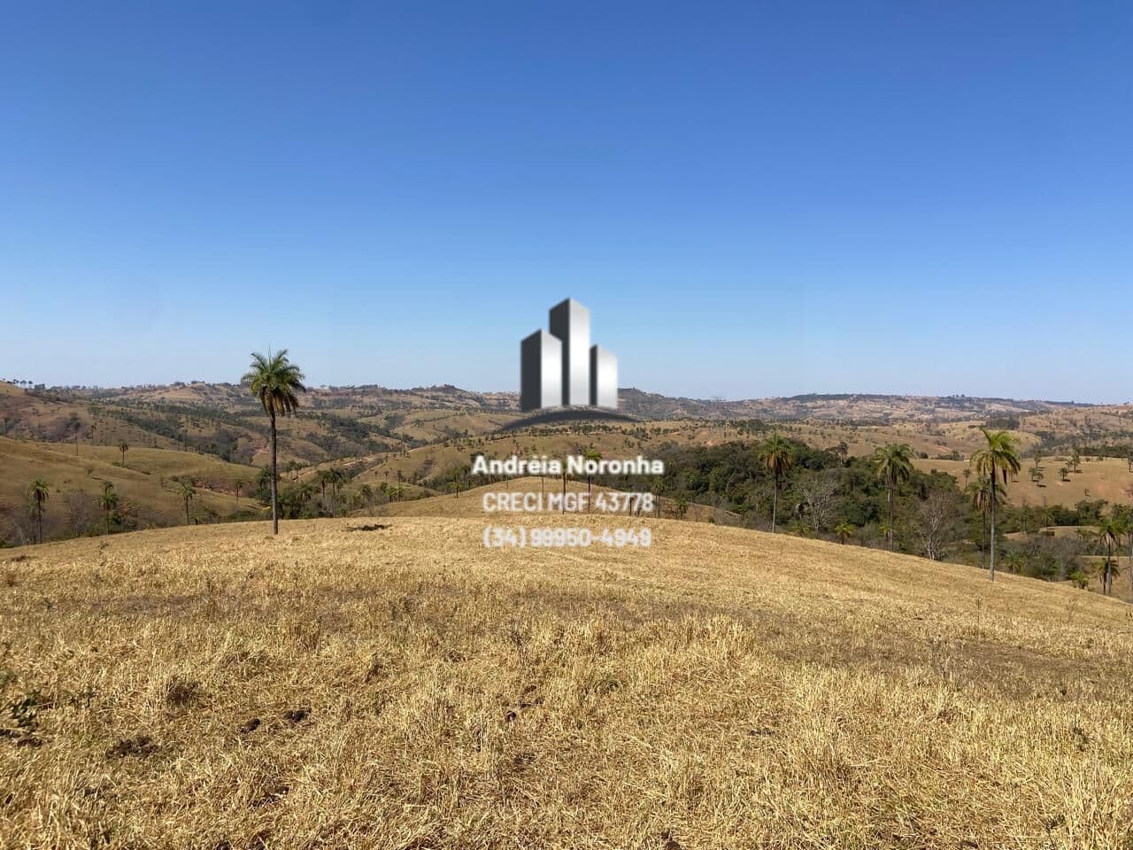 🌴🌳 FAZENDA 35 HECTARES ENTRE CARMO E QUINTINOS - NO ALTO DA SERRA 🌴🌳