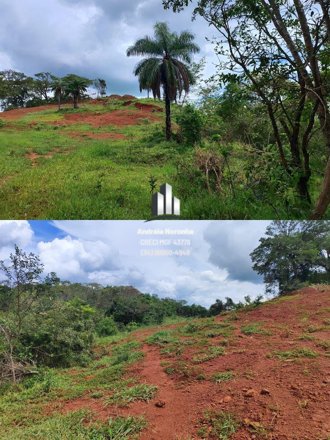 🌳🌴 FAZENDA A VENDA NA REGIÃO DO CHUMBO - PATOS DE MINAS 🌳🌴