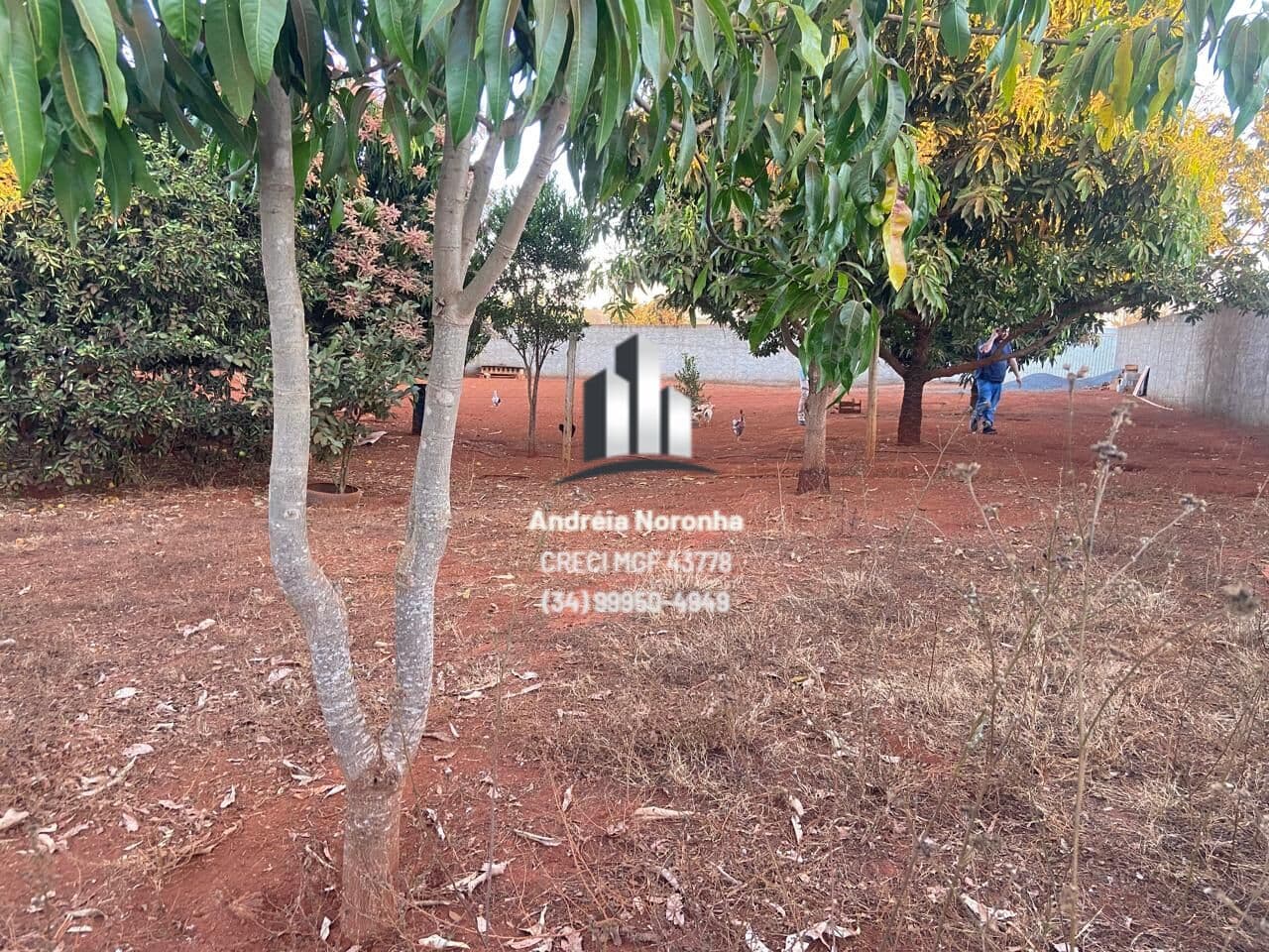 🌴🌳 CHÁCARA À VENDA PRÓXIMO A PAMONHARIA DA ROÇA 🌴🌳