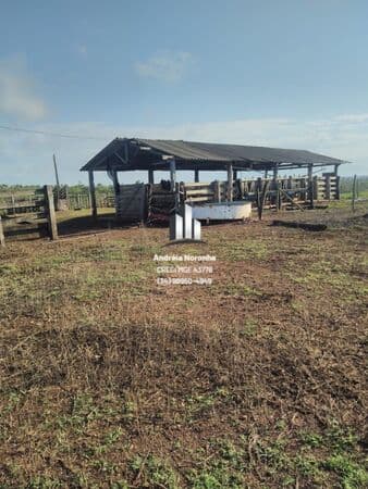 Fazenda 306 Hectares em Presidente Olegário/MG