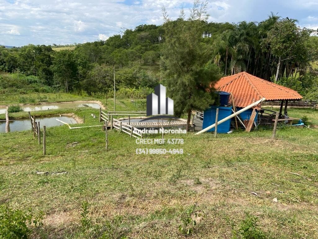 Sítio 8 Hectares na Região de Sertãozinho