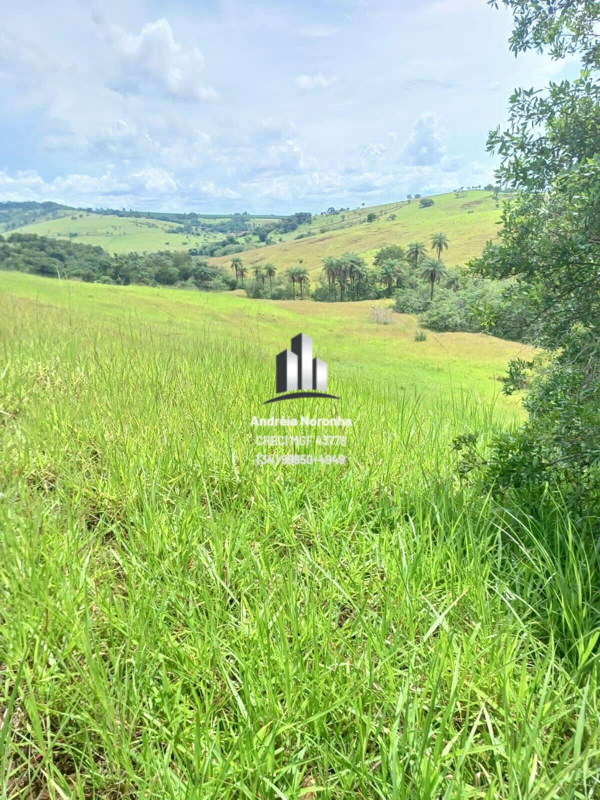 Sítio 7 hectares no Leal em Patos de Minas