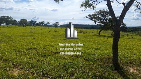 Fazenda 490 Hectares em Cruzeiro da Prata, município de Presidente Olegário