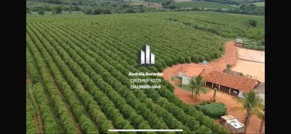 Fazenda de café 40 hectares em Patrocínio/M