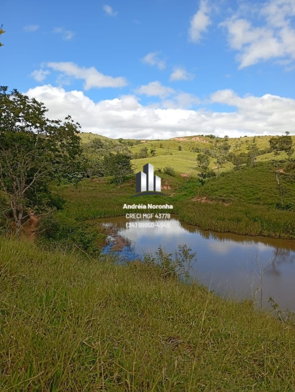 🌴🌳 SÍTIO DE 2 HECTARES A VENDA NA REGIÃO DOS PAULISTAS 🌴🌳