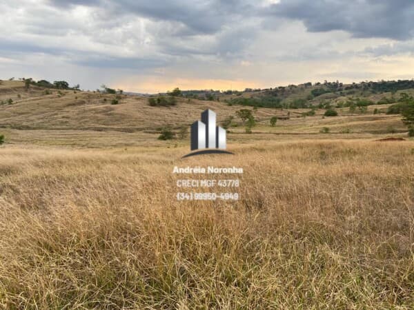 Fazenda 30 Hectares na região do Leal em Patos de Minas