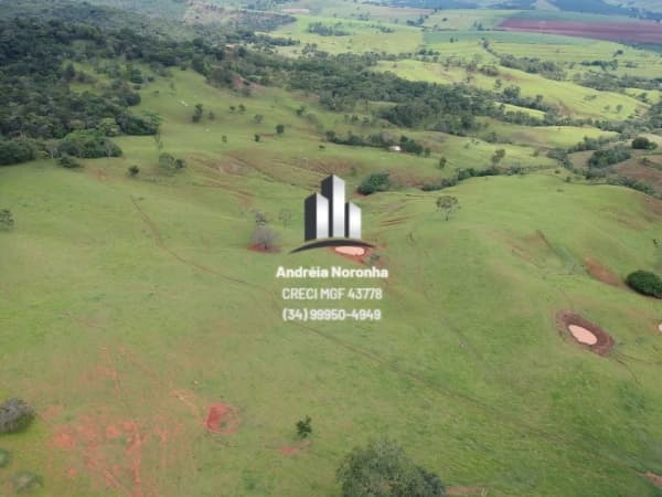 Fazenda 78 Hectares próxima à Patos de Minas