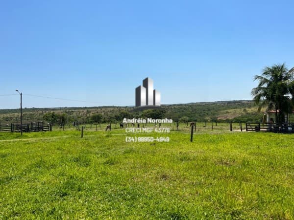 Fazenda 490 Hectares em Presidente Olegário/MG