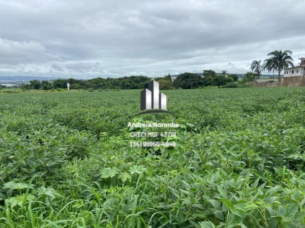 Área Industrial 21,772 m² frente pra BR 365