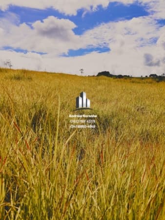 Fazenda 75 Hectares