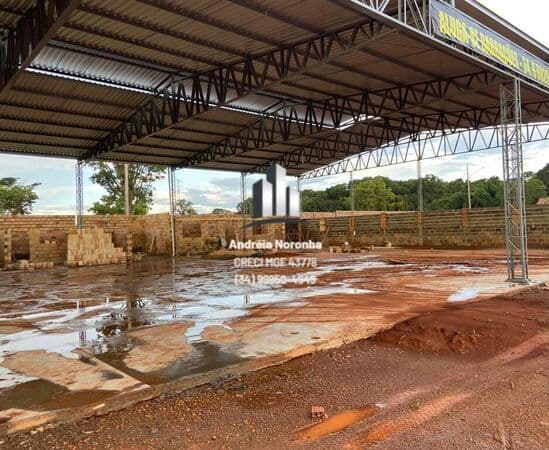 Galpão Comercial/Industrial às margens da BR 365