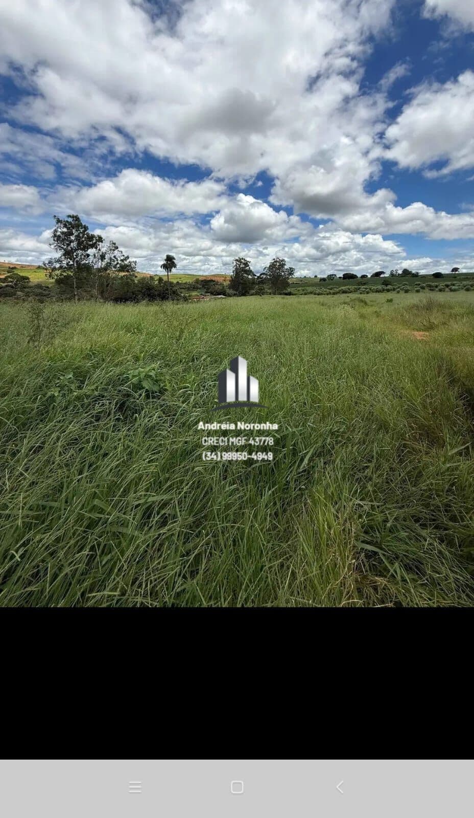 Fazenda 13,5 hectares em Lagoa Formosa