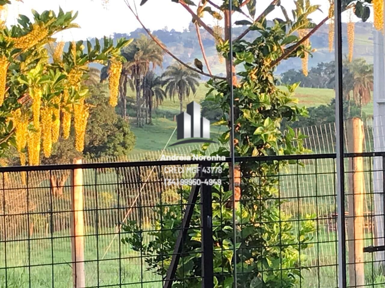 🌴 LINDO SÍTIO DE 3,5 HECTARES NA BEIRA DO ASFALTO, LOGO APÓS O LEAL 🌴