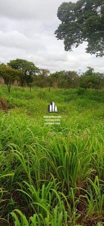 Fazenda na região de São Pedro da Ponte Firme