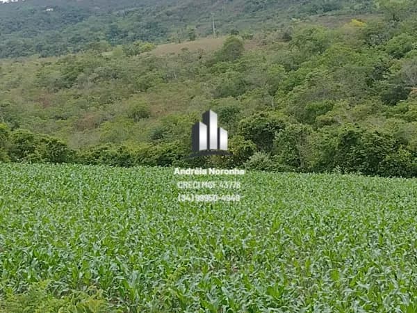 Fazenda 30 hectares em Presidente Olegário/MG