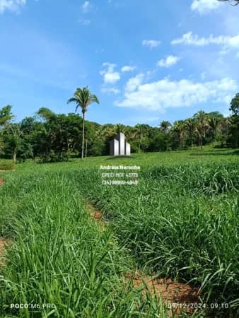 Fazenda 189,73 hectares em Lagamar/MG