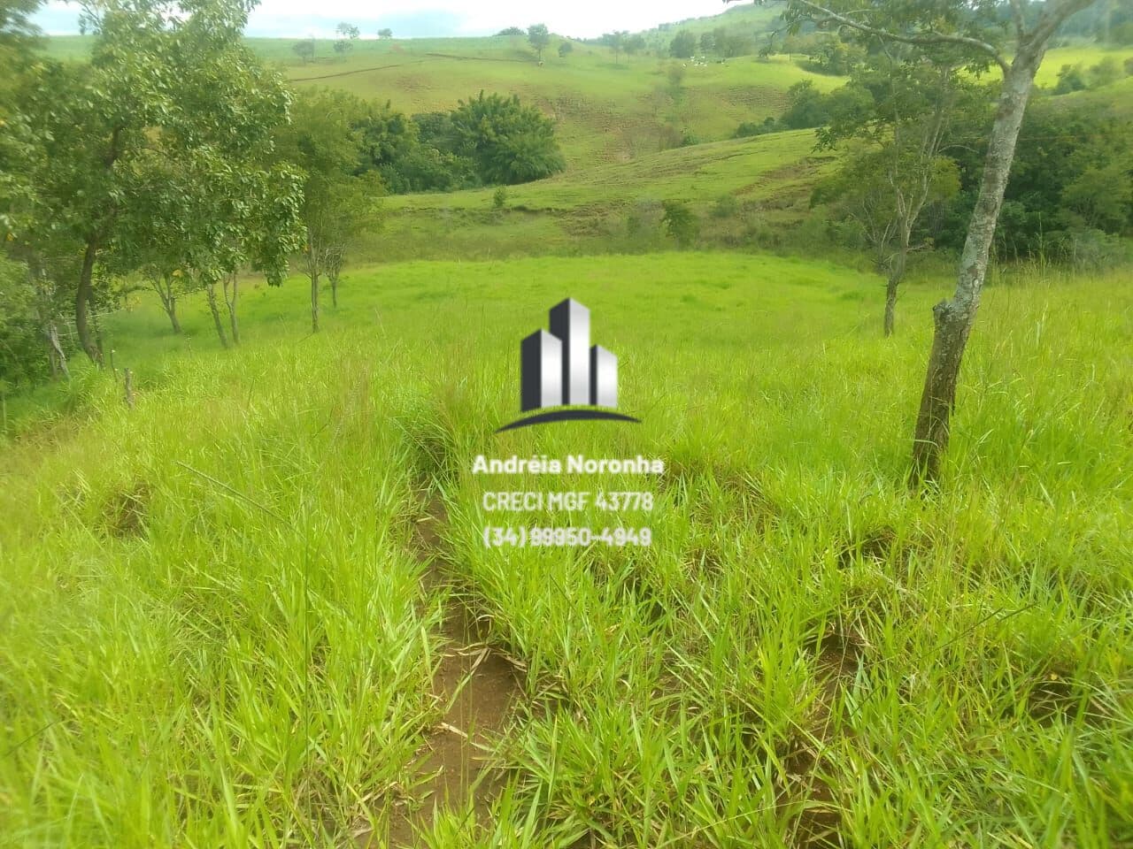 🌴🌳 SÍTIO 5.8 HECTARES À VENDA NO LEAL 🌴🌳