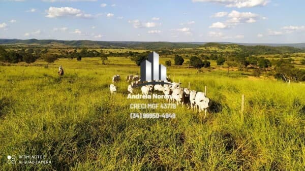 Fazenda/Sítios/Chácaras em Brasilândia de Minas - Centro