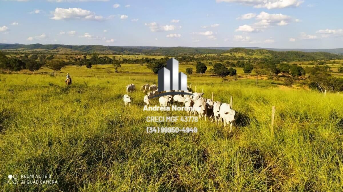 Fazenda/Sítios/Chácaras em Brasilândia de Minas - Centro