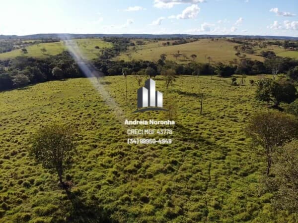 Fazenda 78 Hectares na região de Presidente Olegário/MG