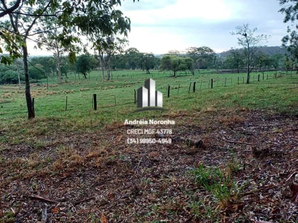 FAZENDA EM UBERADA MG - 172 HECTARES