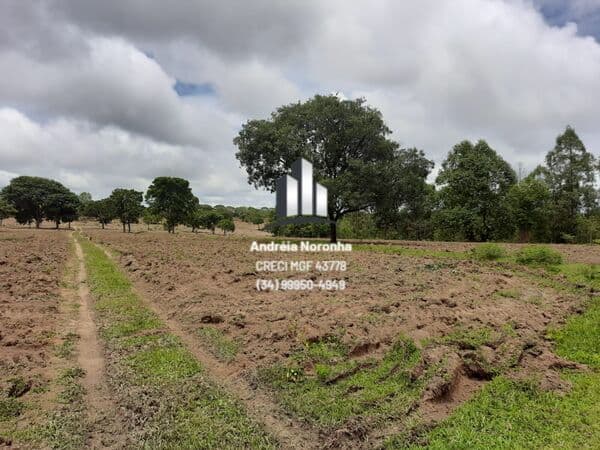 Fazenda 253 Hectares em João Pinheiro/MG