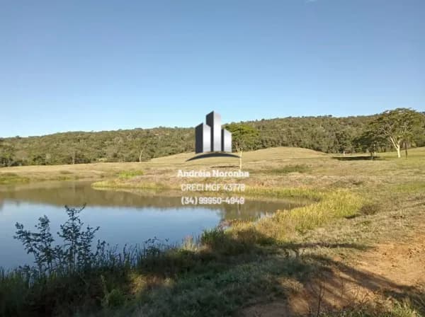 FAZENDA A VENDA EM CAMPINA VERDE - MG (67 ALQUEIRES) 323 HA