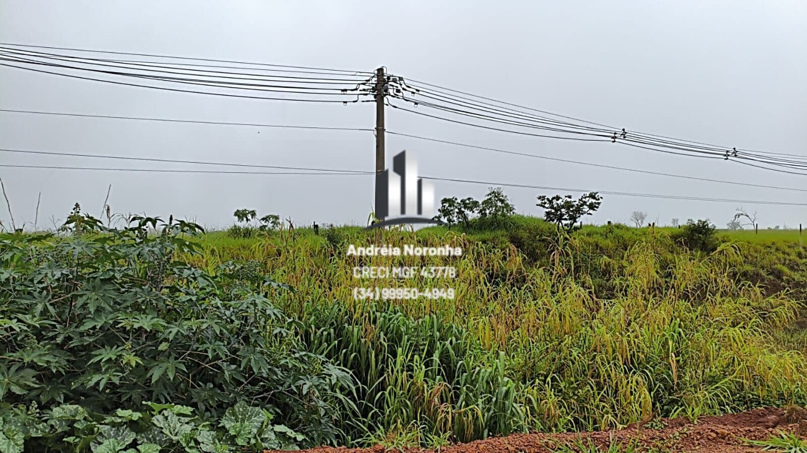 Área Comercial de 2,8 hectares na BR 365