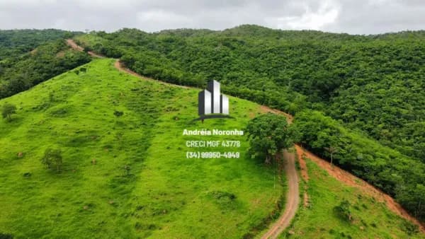 👨🌾🌴 FAZENDA DE 700 HECTARES A VENDA EM LAGAMAR 👨🌾🌴