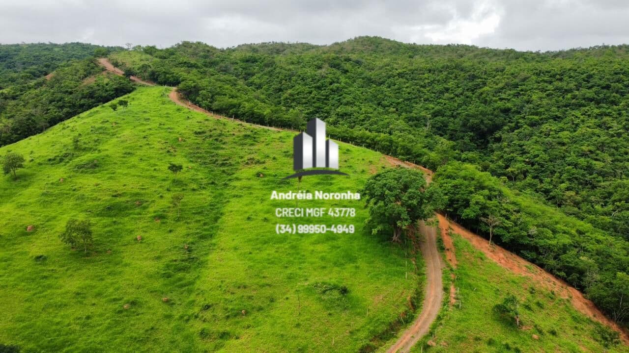 👨🌾🌴 FAZENDA DE 700 HECTARES A VENDA EM LAGAMAR 👨🌾🌴