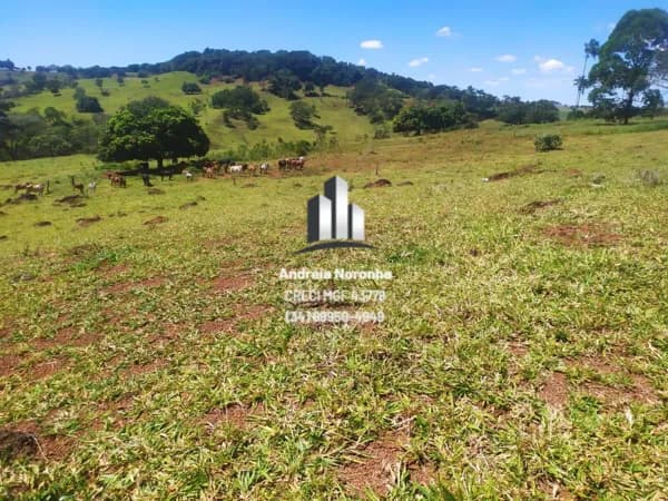 Fazenda 31,5 hectares na região de Três Barras