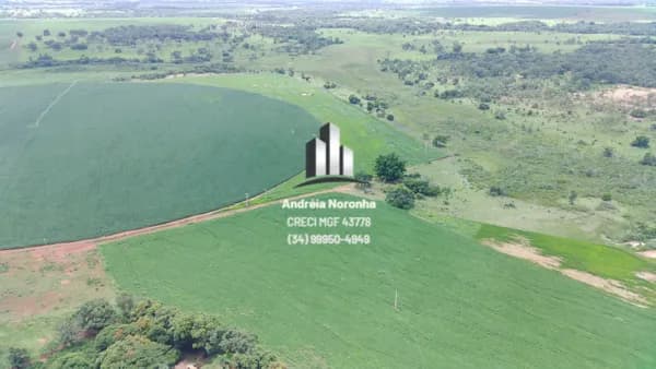 Fazenda 273 Hectares para lavoura em Lagamar/MG