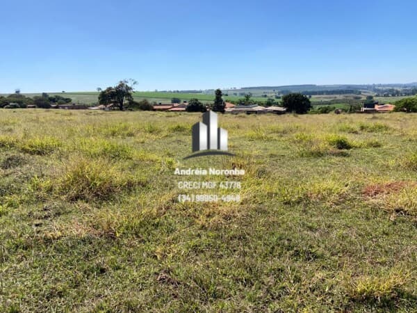 Área Comercial às Margens da BR 365