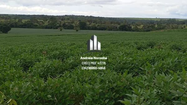 Fazenda 570 hectares em João Pinheiro/MG