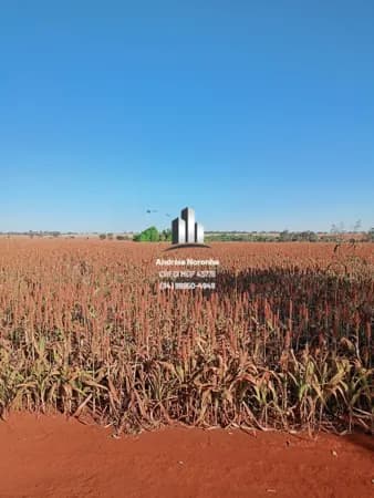 Fazenda 20 Alqueires em Frutal/MG