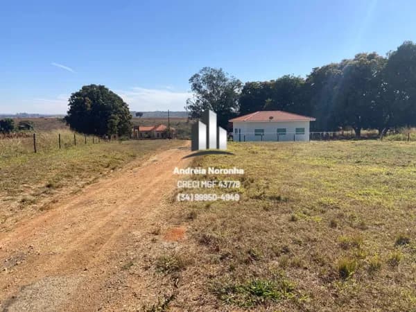 Fazenda 40 hectares próxima à Patos